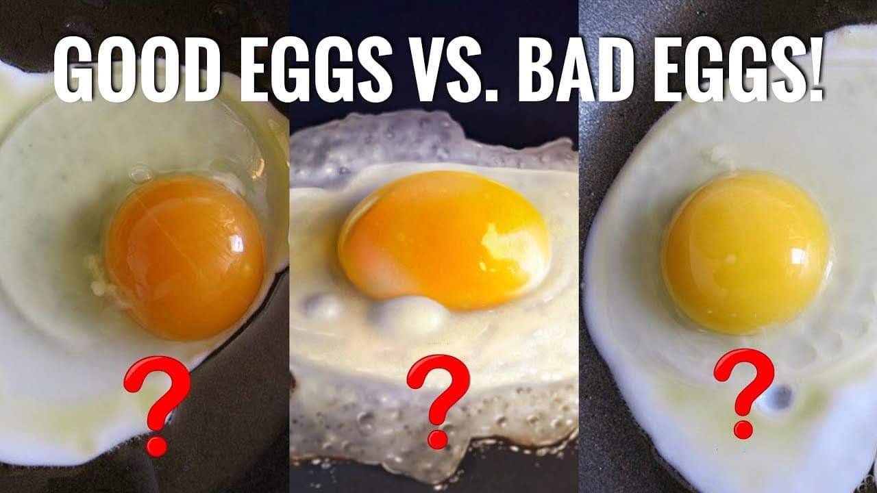 Is a bad egg идиома. A good Egg. Bad Egg. Eggs is good. A Bad Egg idiom.